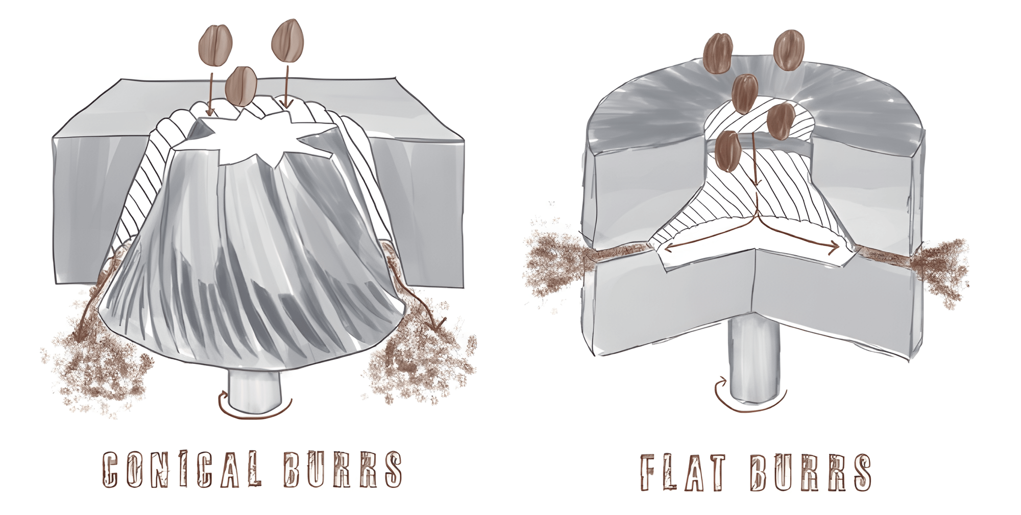 Burr grinders comparison, conical burrs on the left and flat burrs on the right